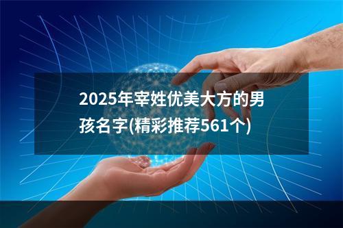 2025年宰姓优美大方的男孩名字(精彩推荐561个)