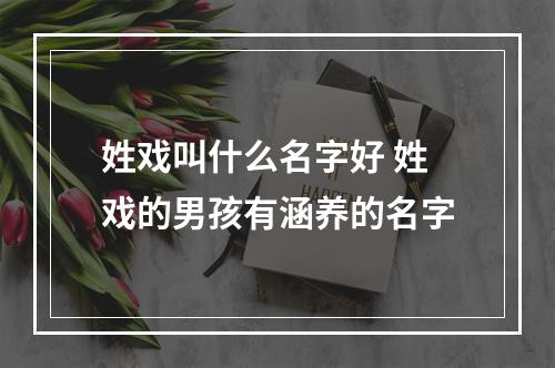 姓戏叫什么名字好 姓戏的男孩有涵养的名字