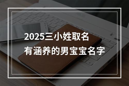 2025三小姓取名有涵养的男宝宝名字
