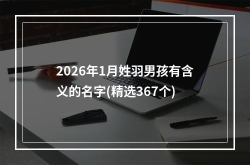 2026年1月姓羽男孩有含义的名字(精选367个)