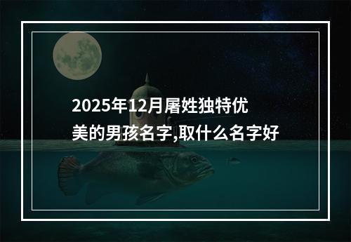 2025年12月屠姓独特优美的男孩名字,取什么名字好