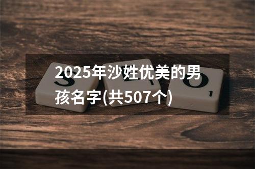 2025年沙姓优美的男孩名字(共507个)