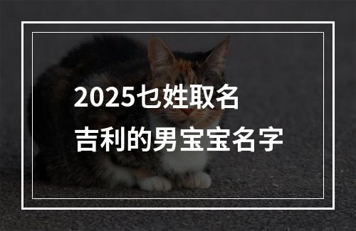 2025乜姓取名吉利的男宝宝名字
