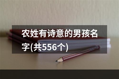 农姓有诗意的男孩名字(共556个)