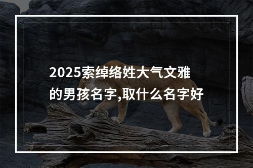 2025索绰络姓大气文雅的男孩名字,取什么名字好