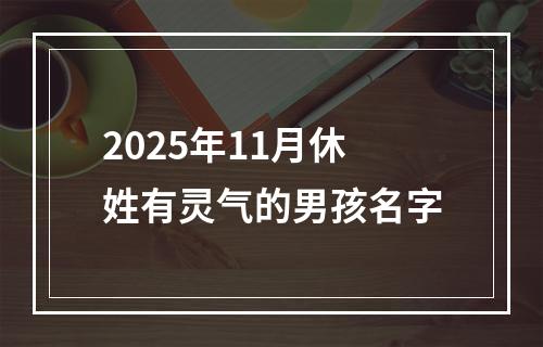 2025年11月休姓有灵气的男孩名字