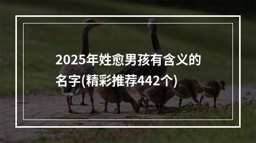 2025年姓愈男孩有含义的名字(精彩推荐442个)