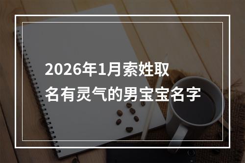 2026年1月索姓取名有灵气的男宝宝名字
