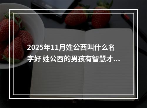 2025年11月姓公西叫什么名字好 姓公西的男孩有智慧才气的名字
