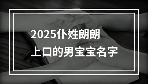 2025仆姓朗朗上口的男宝宝名字