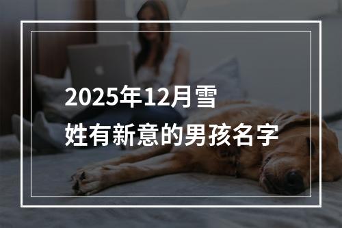 2025年12月雪姓有新意的男孩名字