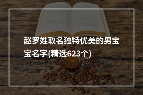 赵罗姓取名独特优美的男宝宝名字(精选623个)