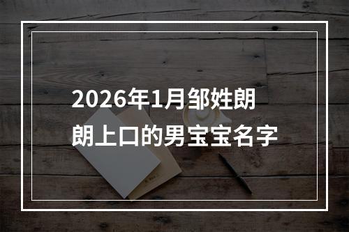 2026年1月邹姓朗朗上口的男宝宝名字