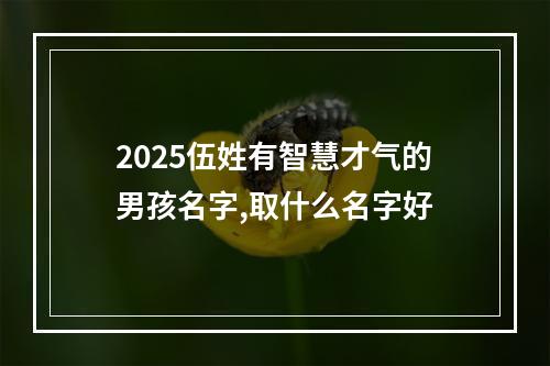 2025伍姓有智慧才气的男孩名字,取什么名字好