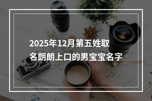 2025年12月第五姓取名朗朗上口的男宝宝名字