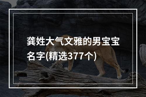 龚姓大气文雅的男宝宝名字(精选377个)