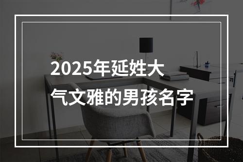 2025年延姓大气文雅的男孩名字