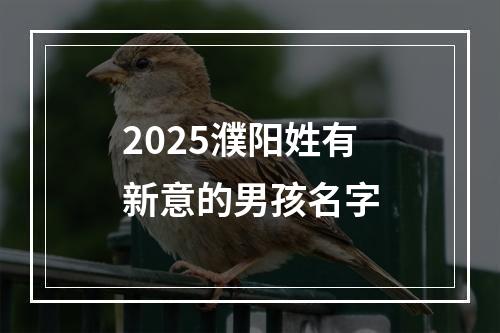 2025濮阳姓有新意的男孩名字