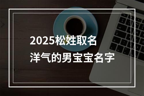 2025松姓取名洋气的男宝宝名字
