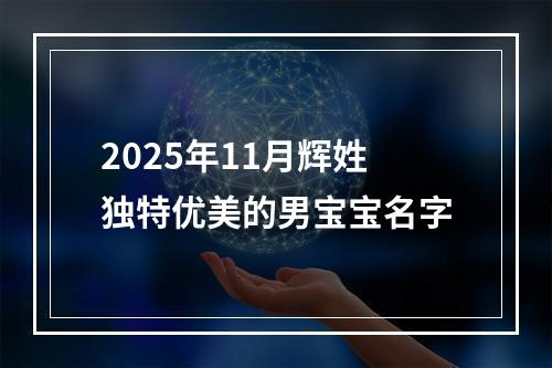2025年11月辉姓独特优美的男宝宝名字