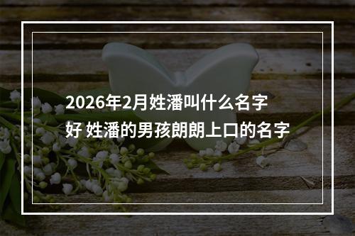 2026年2月姓潘叫什么名字好 姓潘的男孩朗朗上口的名字