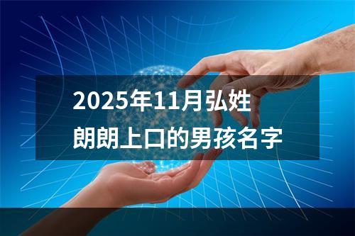 2025年11月弘姓朗朗上口的男孩名字