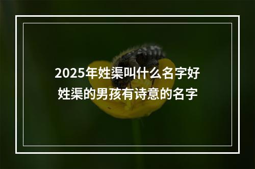 2025年姓渠叫什么名字好 姓渠的男孩有诗意的名字