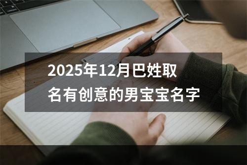 2025年12月巴姓取名有创意的男宝宝名字
