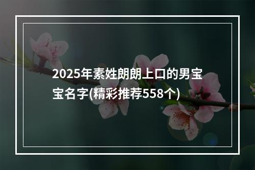 2025年素姓朗朗上口的男宝宝名字(精彩推荐558个)