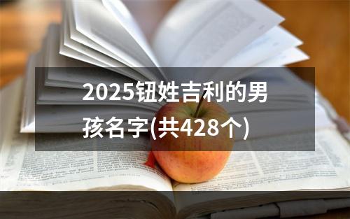 2025钮姓吉利的男孩名字(共428个)
