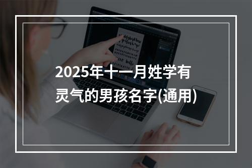 2025年十一月姓学有灵气的男孩名字(通用)