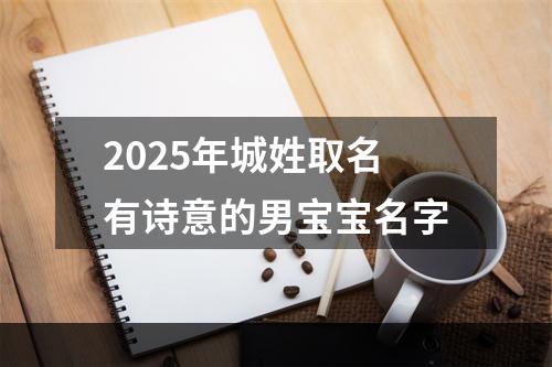 2025年城姓取名有诗意的男宝宝名字