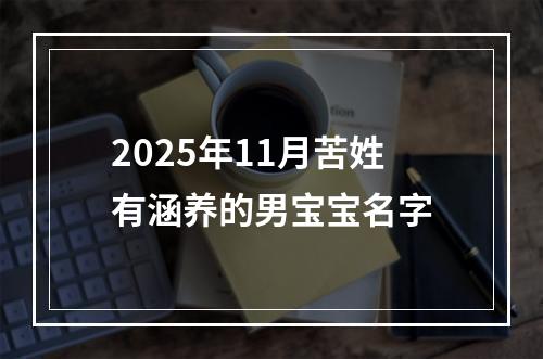 2025年11月苦姓有涵养的男宝宝名字