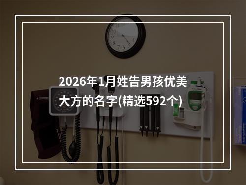 2026年1月姓告男孩优美大方的名字(精选592个)
