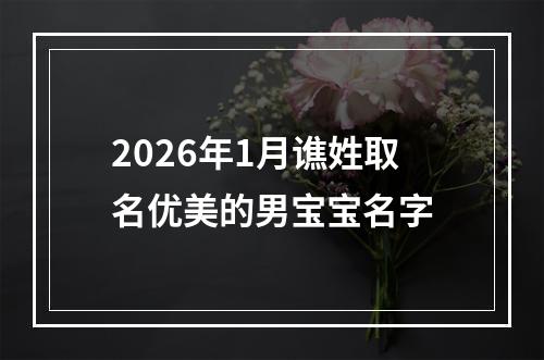 2026年1月谯姓取名优美的男宝宝名字
