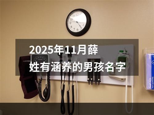 2025年11月薛姓有涵养的男孩名字