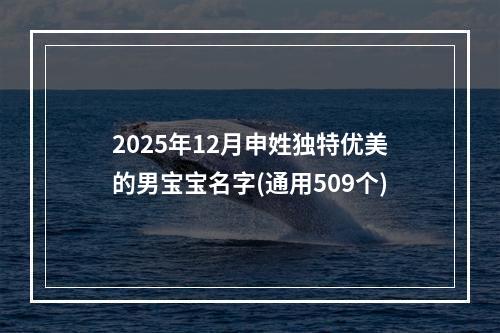 2025年12月申姓独特优美的男宝宝名字(通用509个)