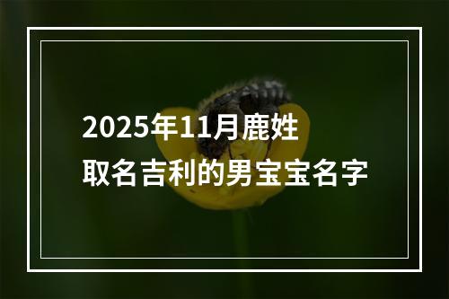 2025年11月鹿姓取名吉利的男宝宝名字