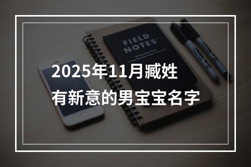 2025年11月臧姓有新意的男宝宝名字