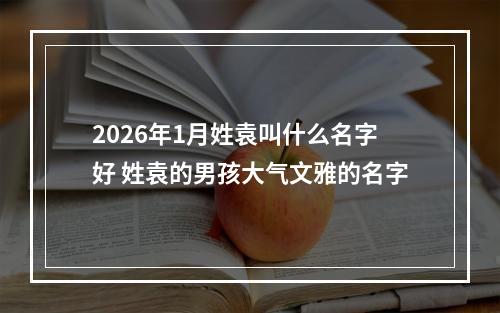 2026年1月姓袁叫什么名字好 姓袁的男孩大气文雅的名字