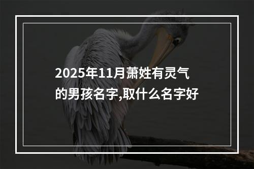 2025年11月萧姓有灵气的男孩名字,取什么名字好