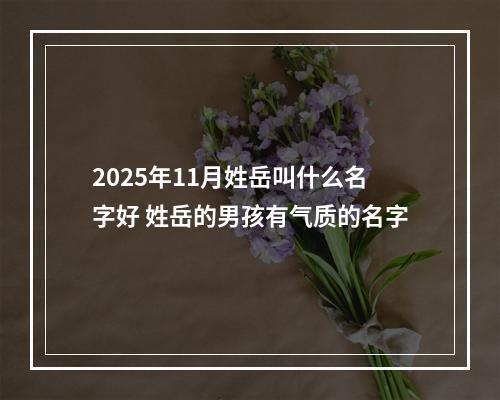 2025年11月姓岳叫什么名字好 姓岳的男孩有气质的名字