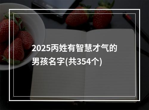 2025丙姓有智慧才气的男孩名字(共354个)