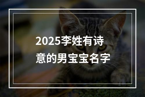 2025李姓有诗意的男宝宝名字