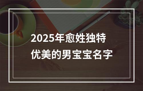 2025年愈姓独特优美的男宝宝名字