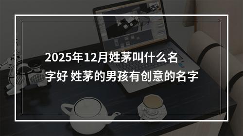 2025年12月姓茅叫什么名字好 姓茅的男孩有创意的名字