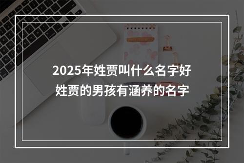2025年姓贾叫什么名字好 姓贾的男孩有涵养的名字