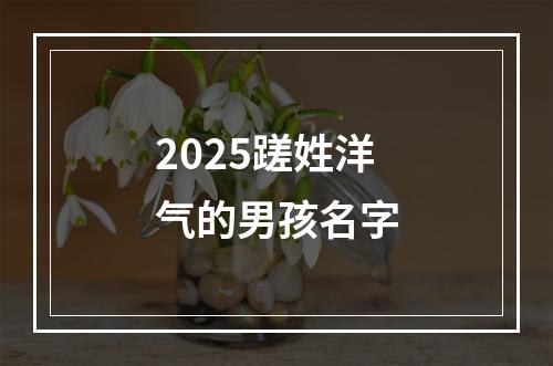 2025蹉姓洋气的男孩名字