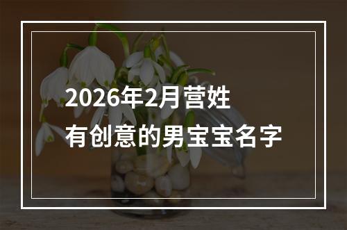 2026年2月营姓有创意的男宝宝名字