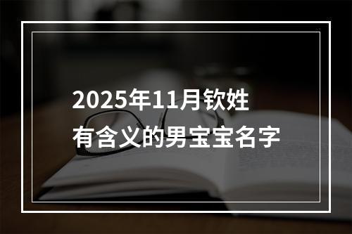 2025年11月钦姓有含义的男宝宝名字